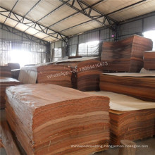 Rotary Cut Plywood Face Veneer PLB Face Veneer